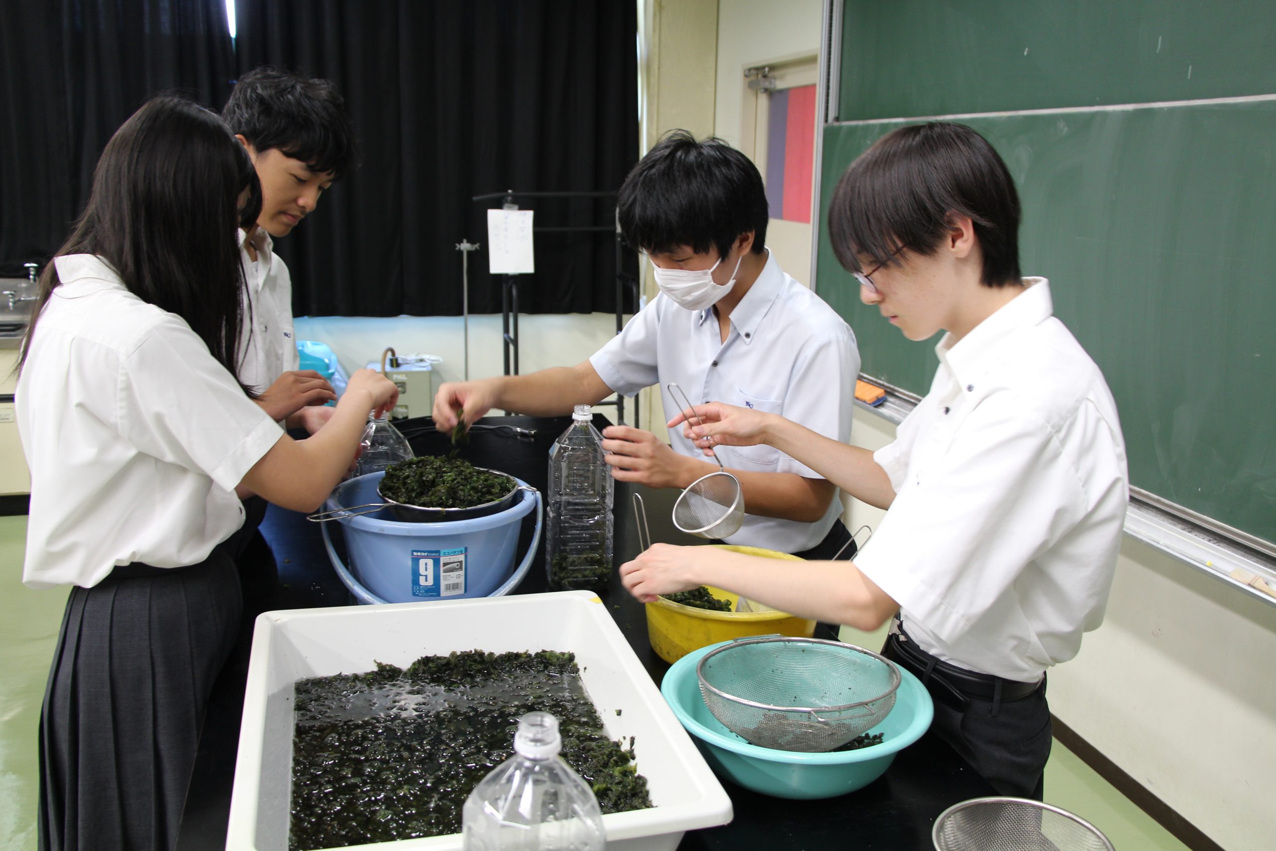 始まりは、身近な生き物への素朴な疑問から