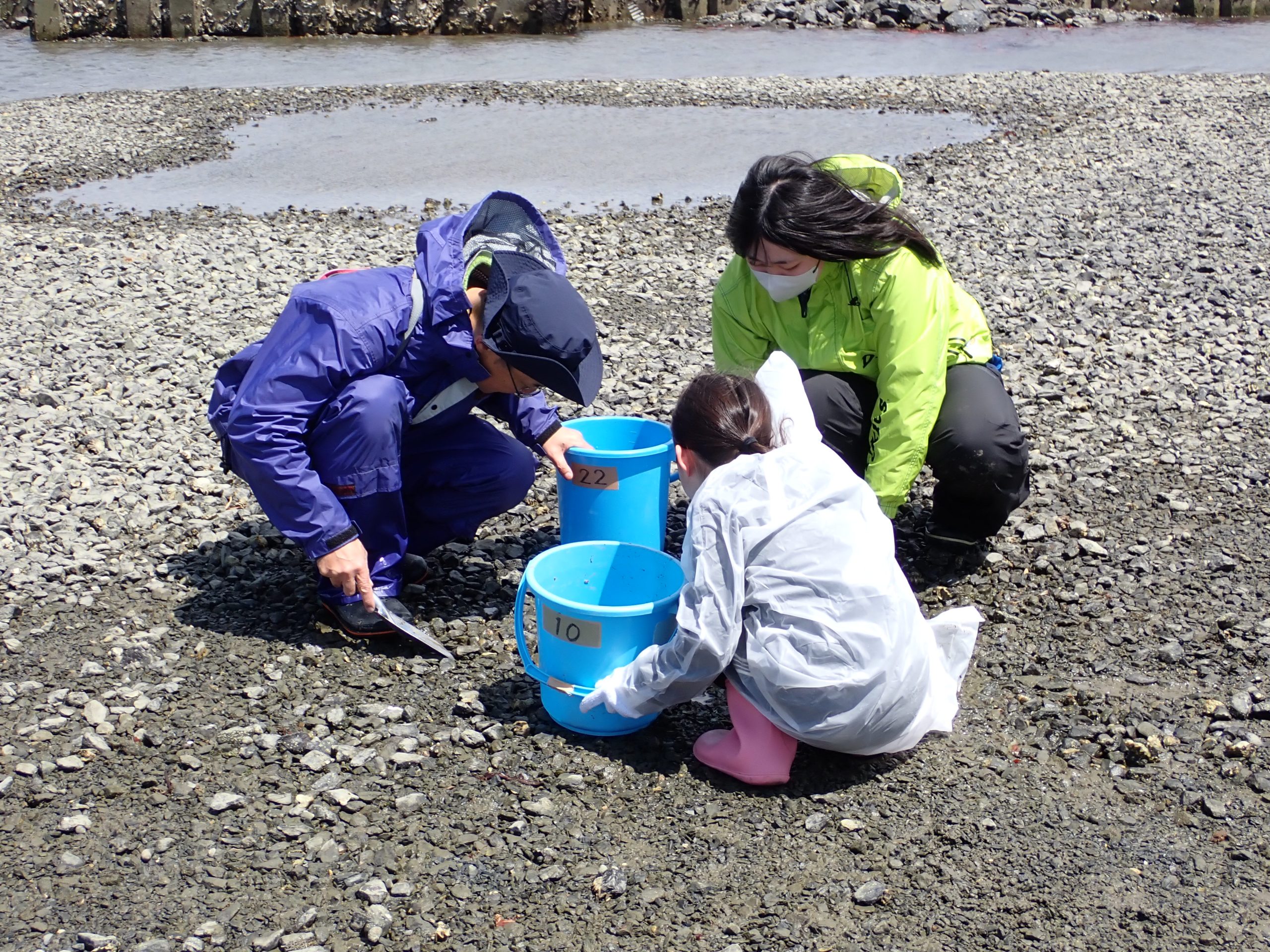 津波が生んだ命の干潟 ― 松原海岸の生物多様性と未来への継承